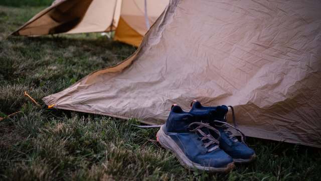 Their findings have largely been concerning.