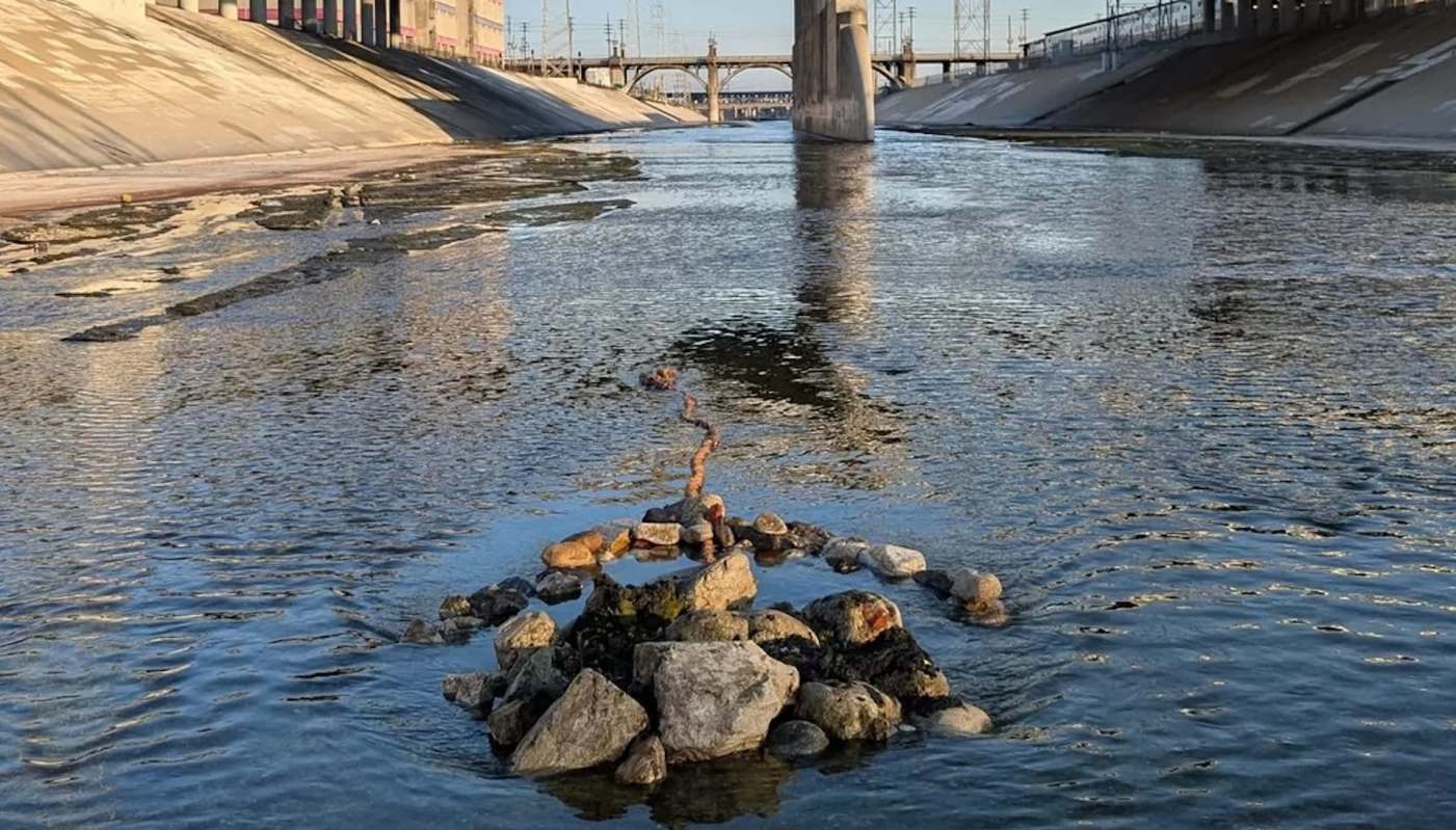 "What an amazing project!"