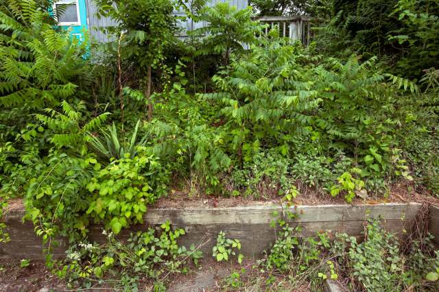 "It's about the economy."