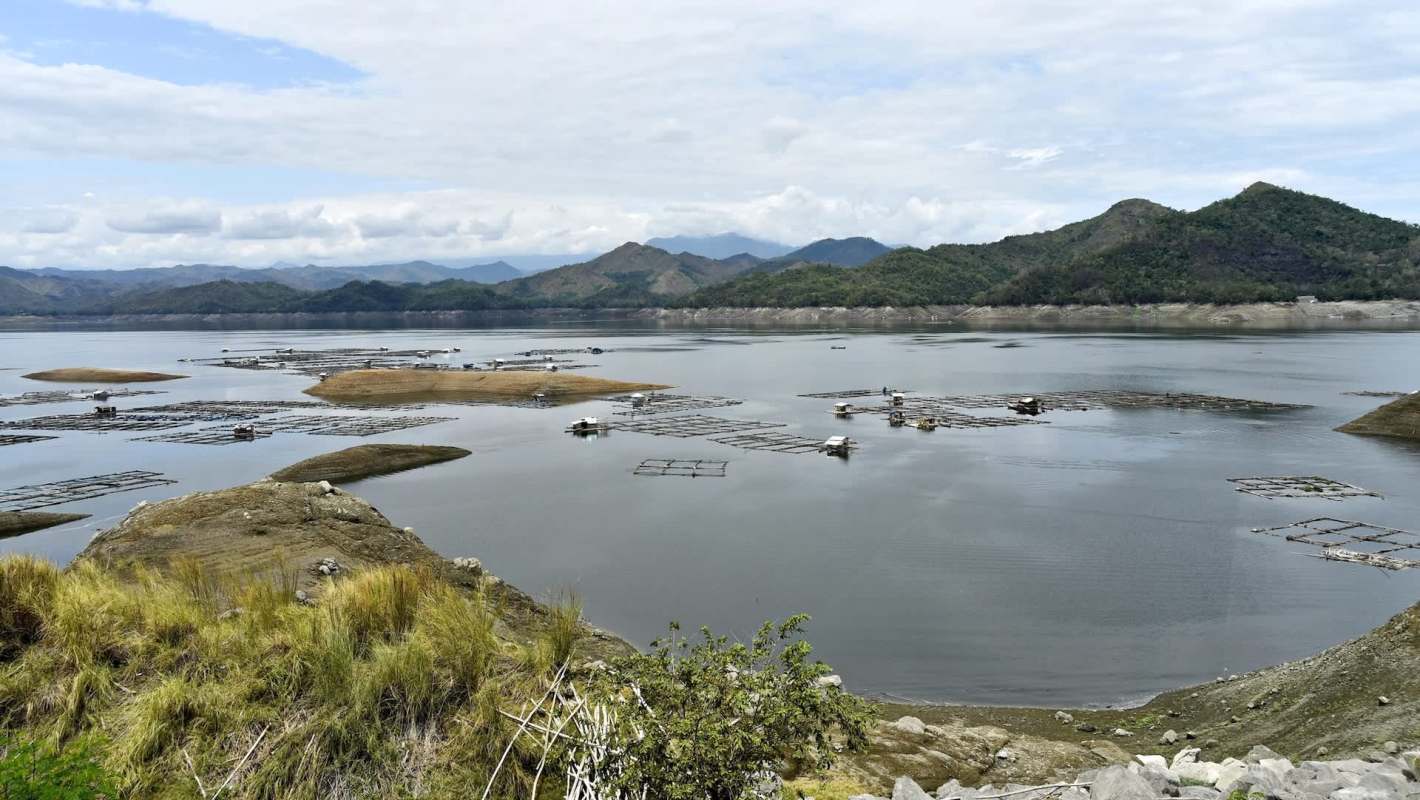 "We can craft and impose measures to protect the fish species."