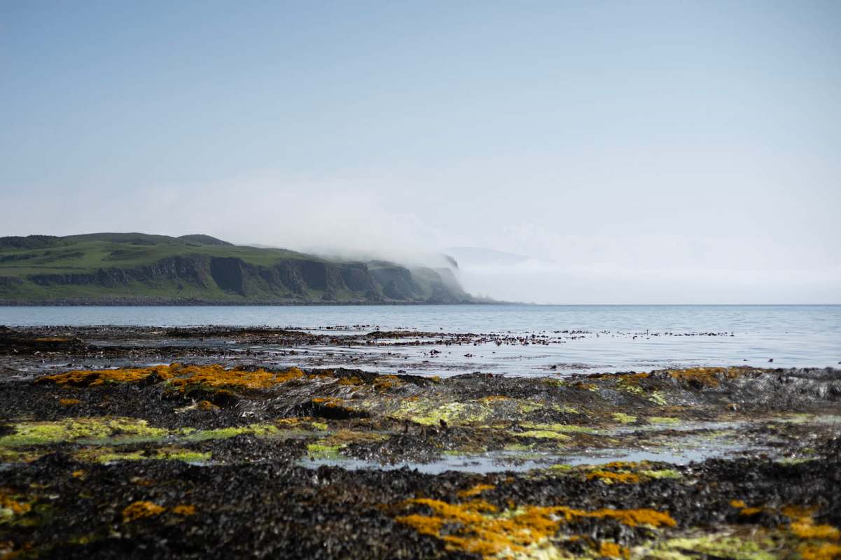 Manx shearwaters had stopped nesting on Rathlin Island by the end of the 20th century because of invasive species.