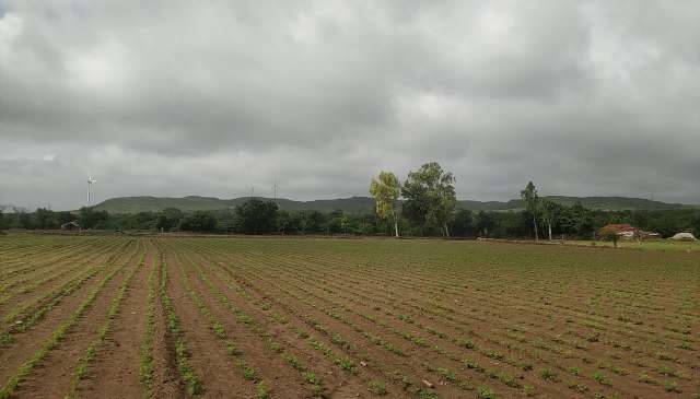 For years, India's historically dry Marathwada region endured relentless droughts. Now, farmers face the opposite extreme as sudden, intense rains flood their fields.