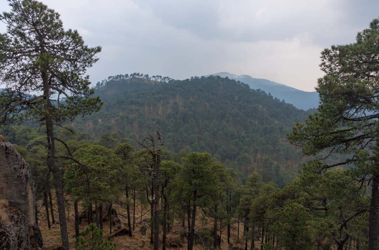 "I sincerely hope US game starts listening to ... scientists who understand the value [of] these animals."