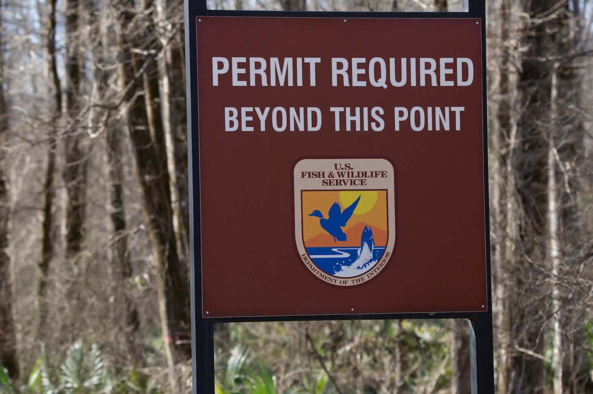 A U.S. federal agency issued authorization to shoot and kill an endangered Mexican gray wolf in the Southwest this summer. Advocates condemned the "lethal removal" of a female pup, sanctioned by the U.S. Fish and Wildlife Service, and called for an additional kill order to be revoked.