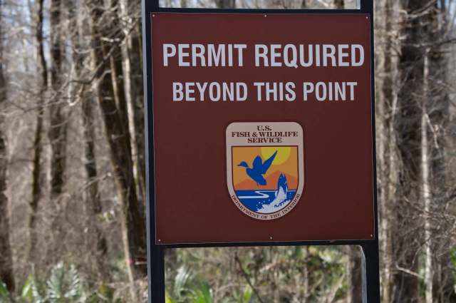 A U.S. federal agency issued authorization to shoot and kill an endangered Mexican gray wolf in the Southwest this summer. Advocates condemned the "lethal removal" of a female pup, sanctioned by the U.S. Fish and Wildlife Service, and called for an additional kill order to be revoked.