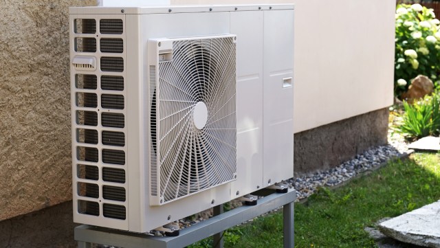 "None of this is true."