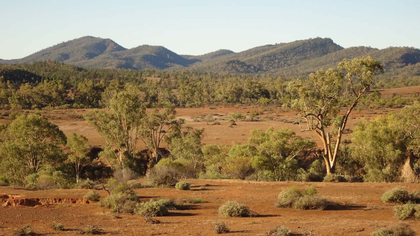 Experts and advocates say the government’s decision prioritizes corporate profits.