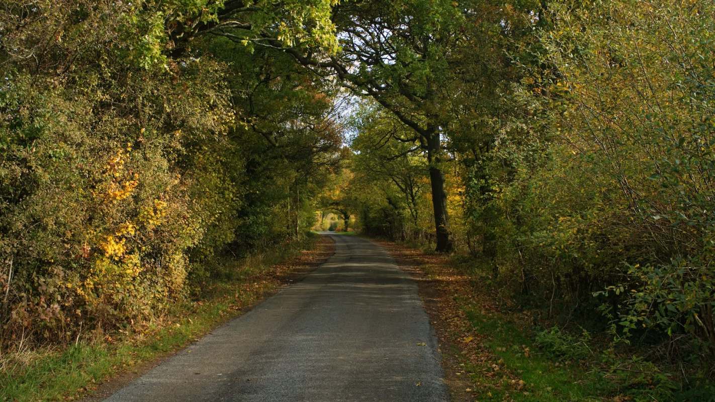 "Imagine the amount of work and expense that goes into clearing up after these criminals."