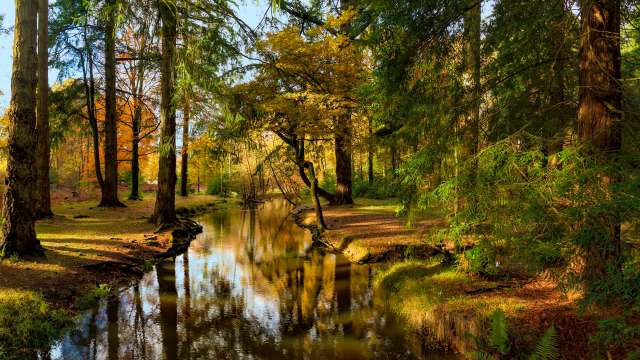 "It's going really quick."