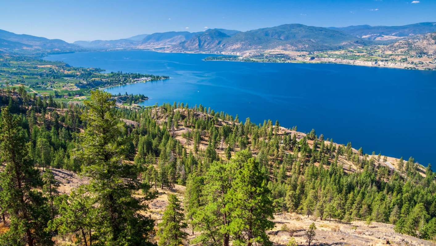 For the first time in over a century, sockeye salmon are swimming home to their historic spawning grounds in British Columbia's Okanagan region.