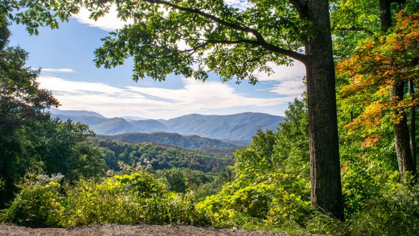 "Creating greater opportunity."