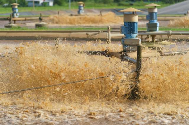 Recent research has determined that Bristol, Tennessee, has alarmingly high levels of PFAS in its biosolid fertilizers.