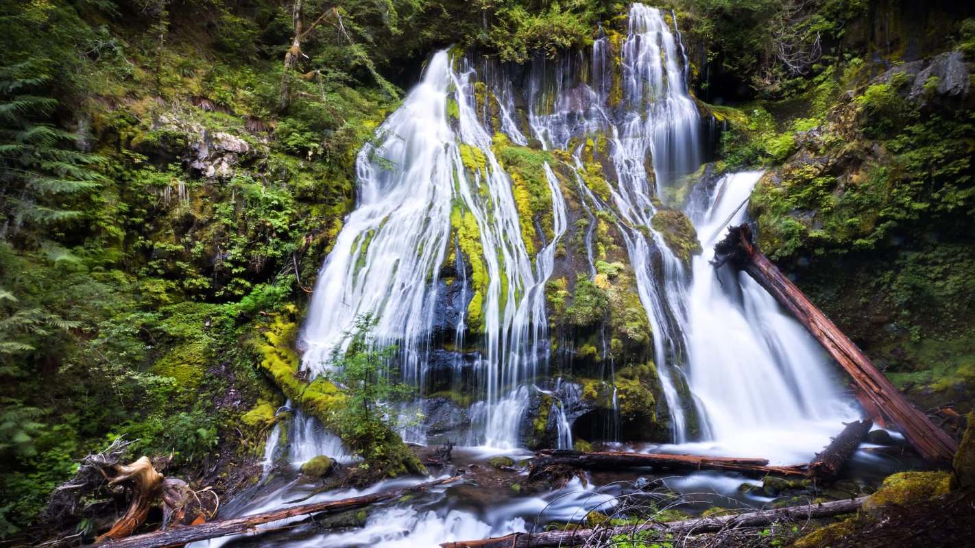 "Such lack of consideration."