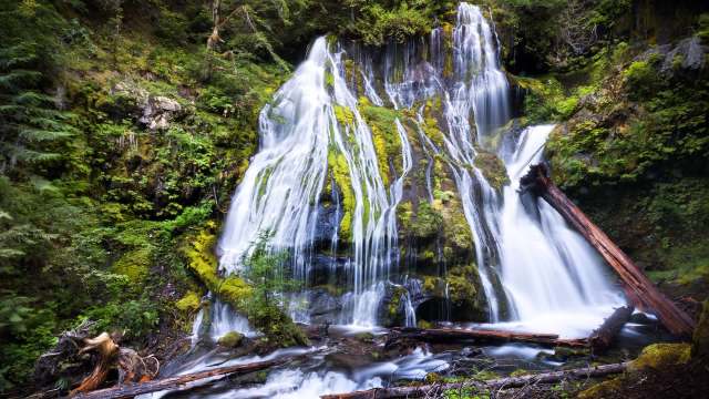 "Such lack of consideration."