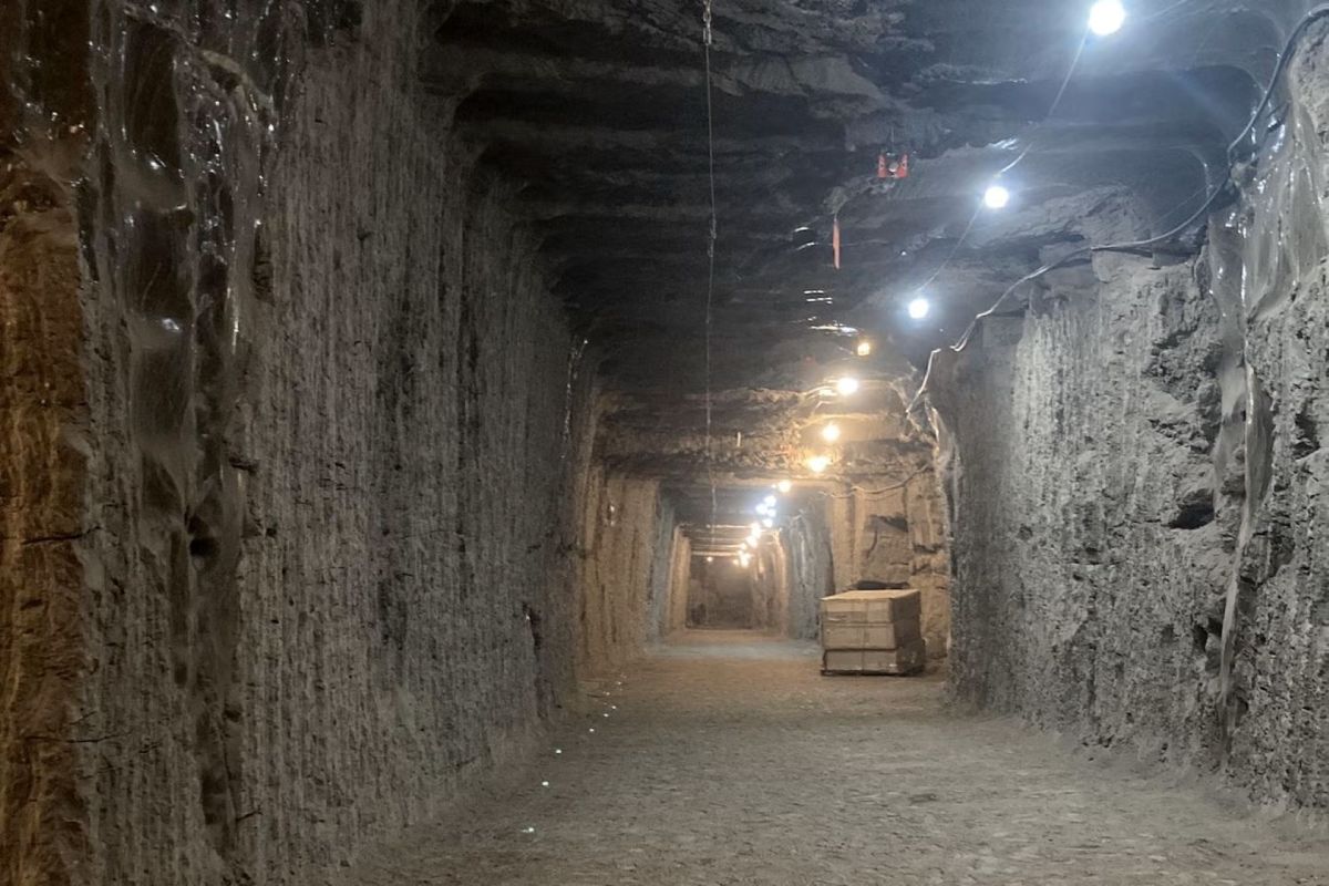 Deeply frozen microbes are being awakened as a result of melting permafrost, which threatens to release massive amounts of polluting gases into the atmosphere.