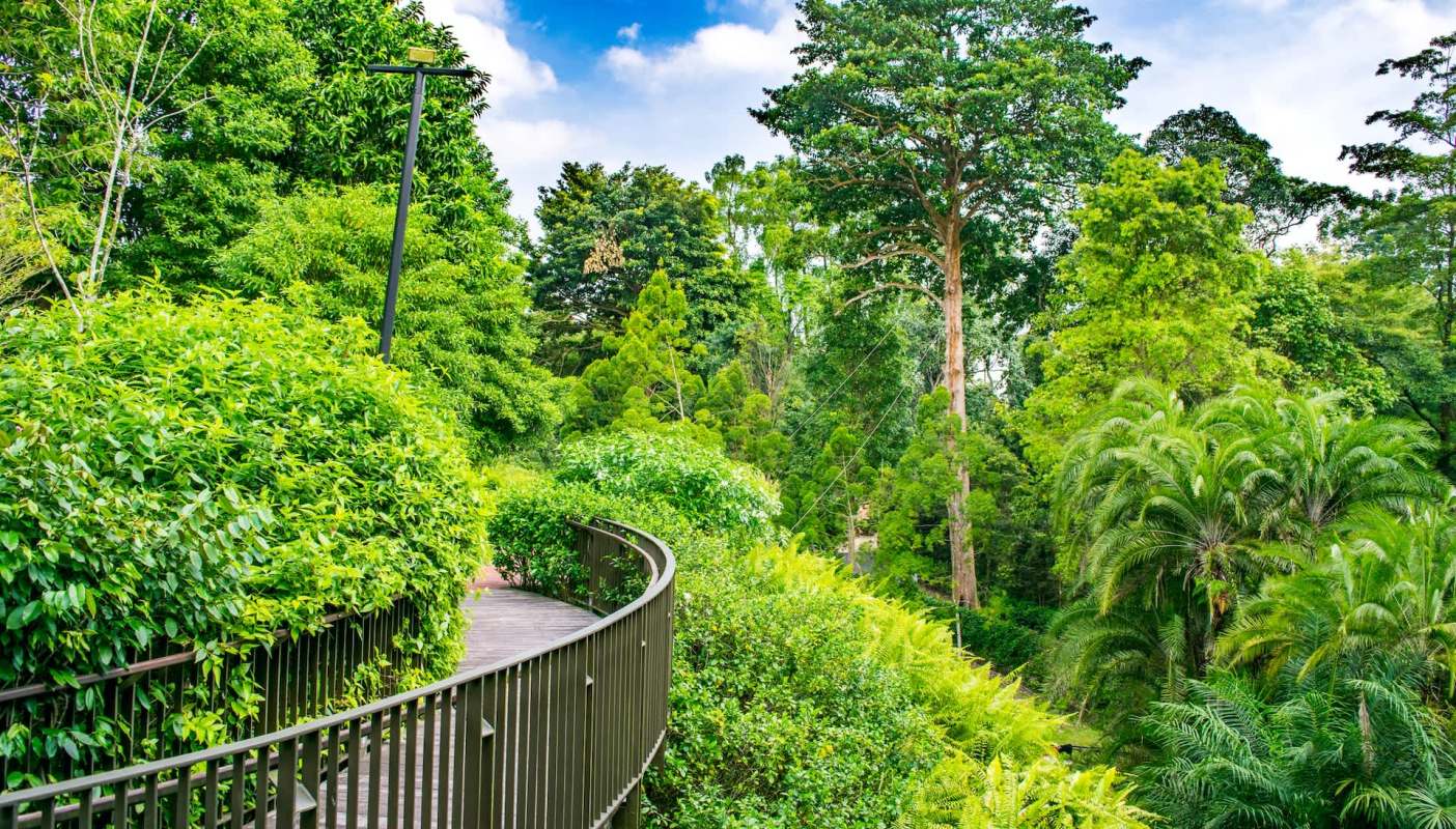 A critically endangered Philippine cockatoo chick was born in a Singapore bird sanctuary, offering hope for the species.
