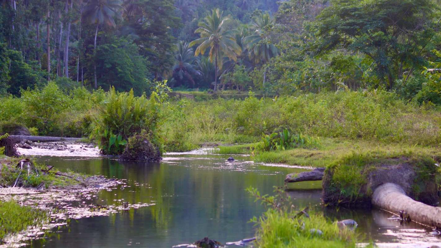 "You need trust and constant help in the field."