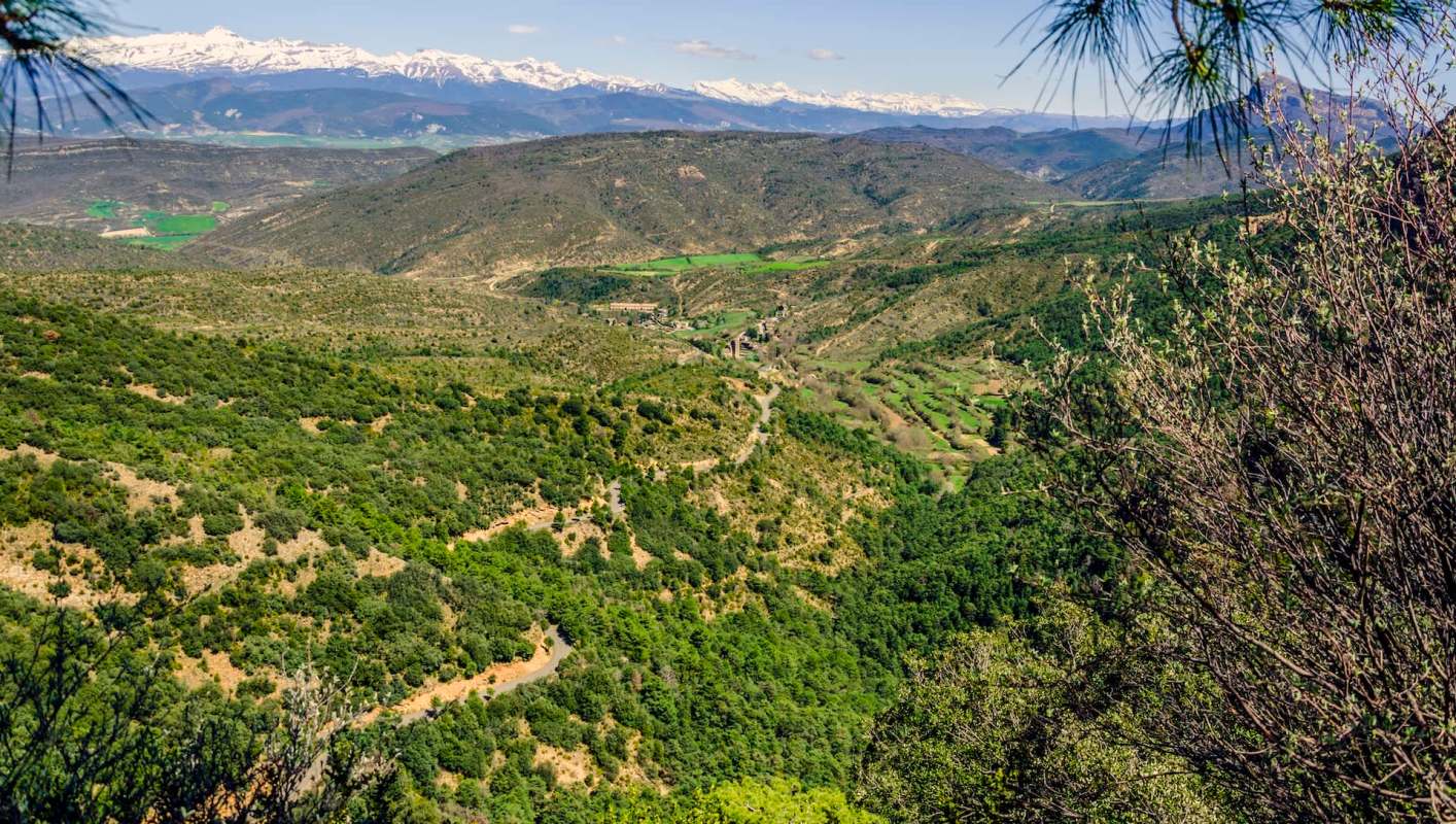 "I always say, 'God, they are beautiful.'"