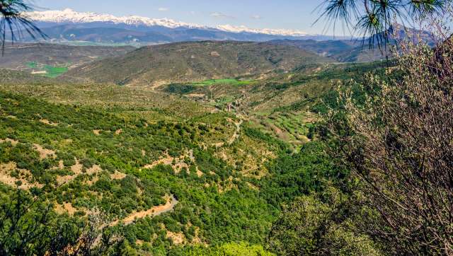 "I always say, 'God, they are beautiful.'"