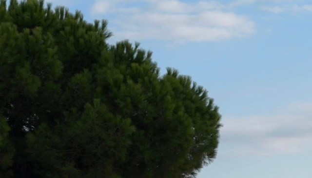 A 460-foot yacht recently anchored off the coast of Nice, and redditors didn't hold back in their criticism.
