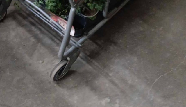 Home Depot is generating a lot of plant waste, and employees and vendors are frustrated about it.