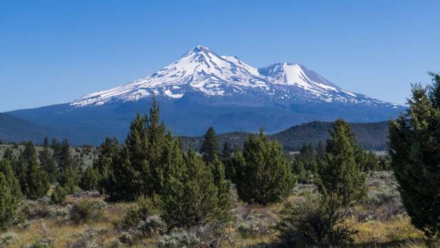 "They’re iconic features."