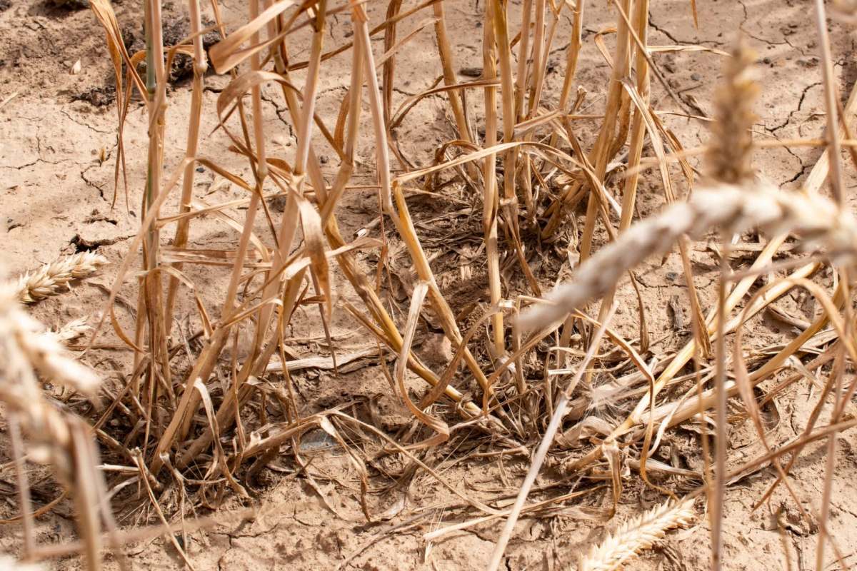 It could lead to rising prices.