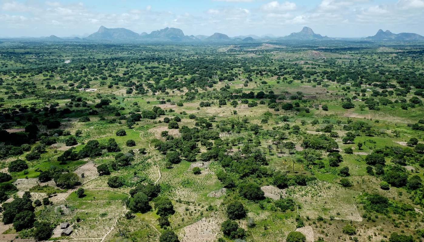 It's a rare piece of good news for a species that has struggled.