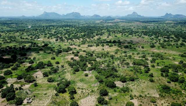 It's a rare piece of good news for a species that has struggled.