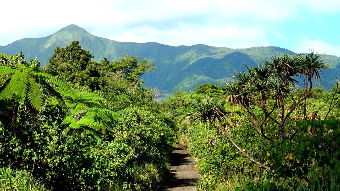 Recent efforts have led to "increased understanding and realization among the local people."