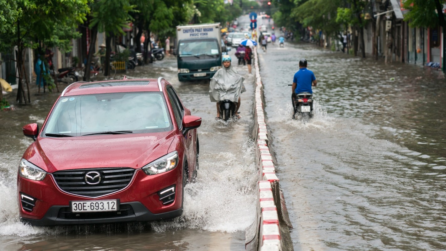 "Valuable references."