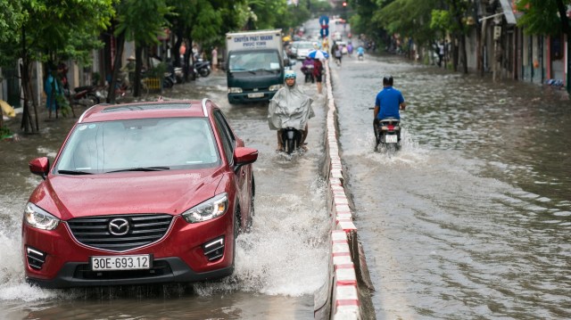 "Valuable references."