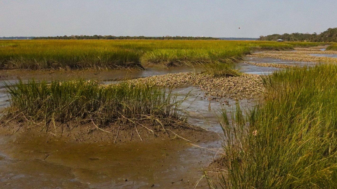 It's an example of creative adaptation to a complex problem.