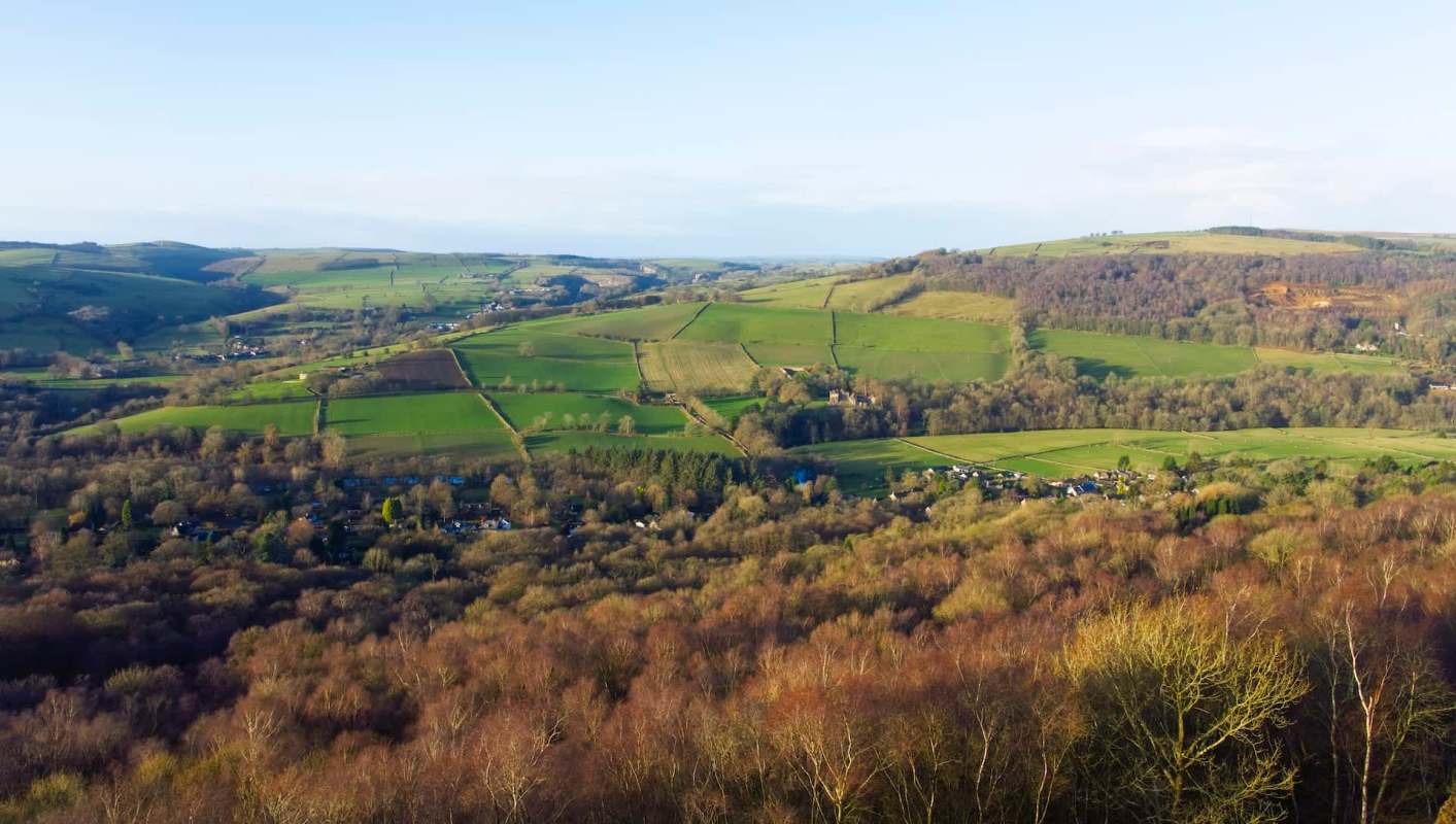 "This does not constitute a ban."