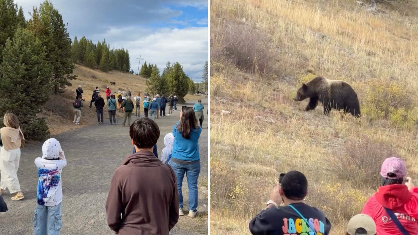 Visitors to Yellowstone National Park often encounter wildlife — but a viral video showed how some tourists get dangerously close to a grizzly bear.