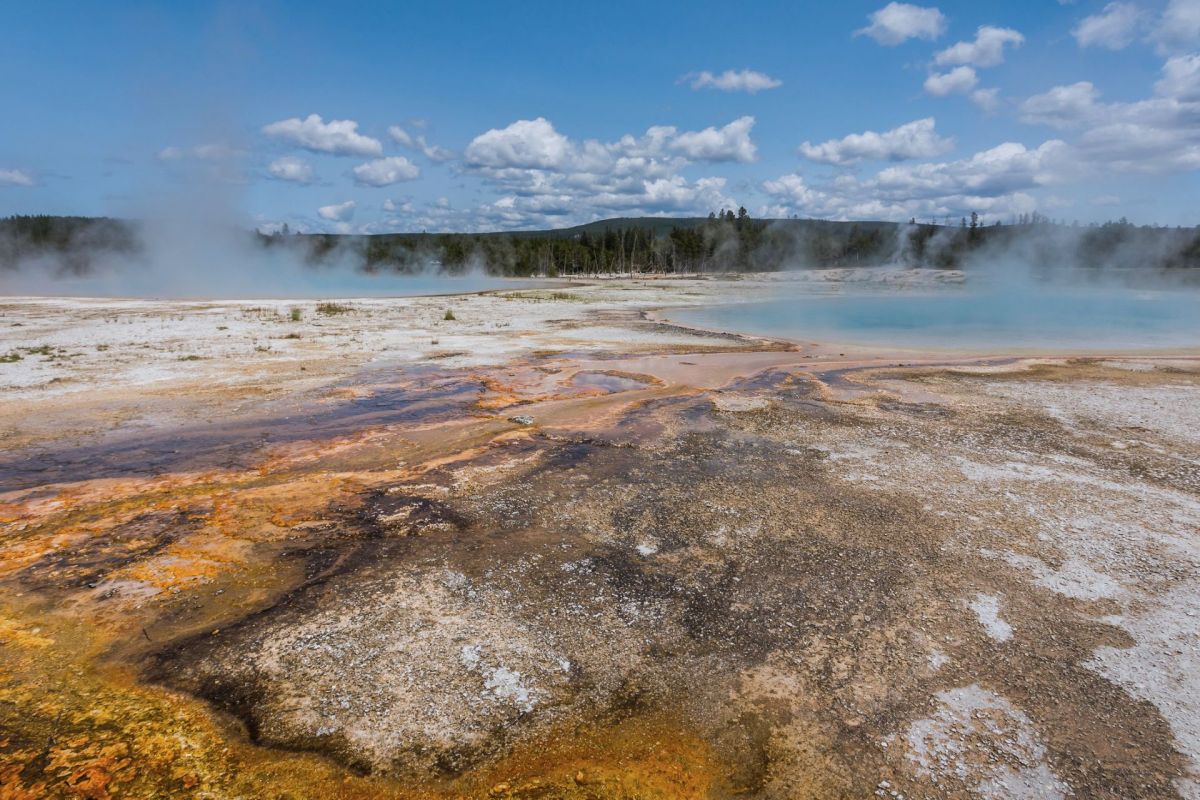 To accomplish this feat, the team used fishing rods, long slotted spoons, and up to 30-foot grabber poles.