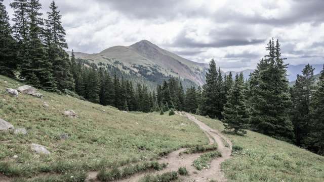 A recent viral Instagram reel showed a group of Rocky Mountain tourists behaving appallingly around a moose and her calf.