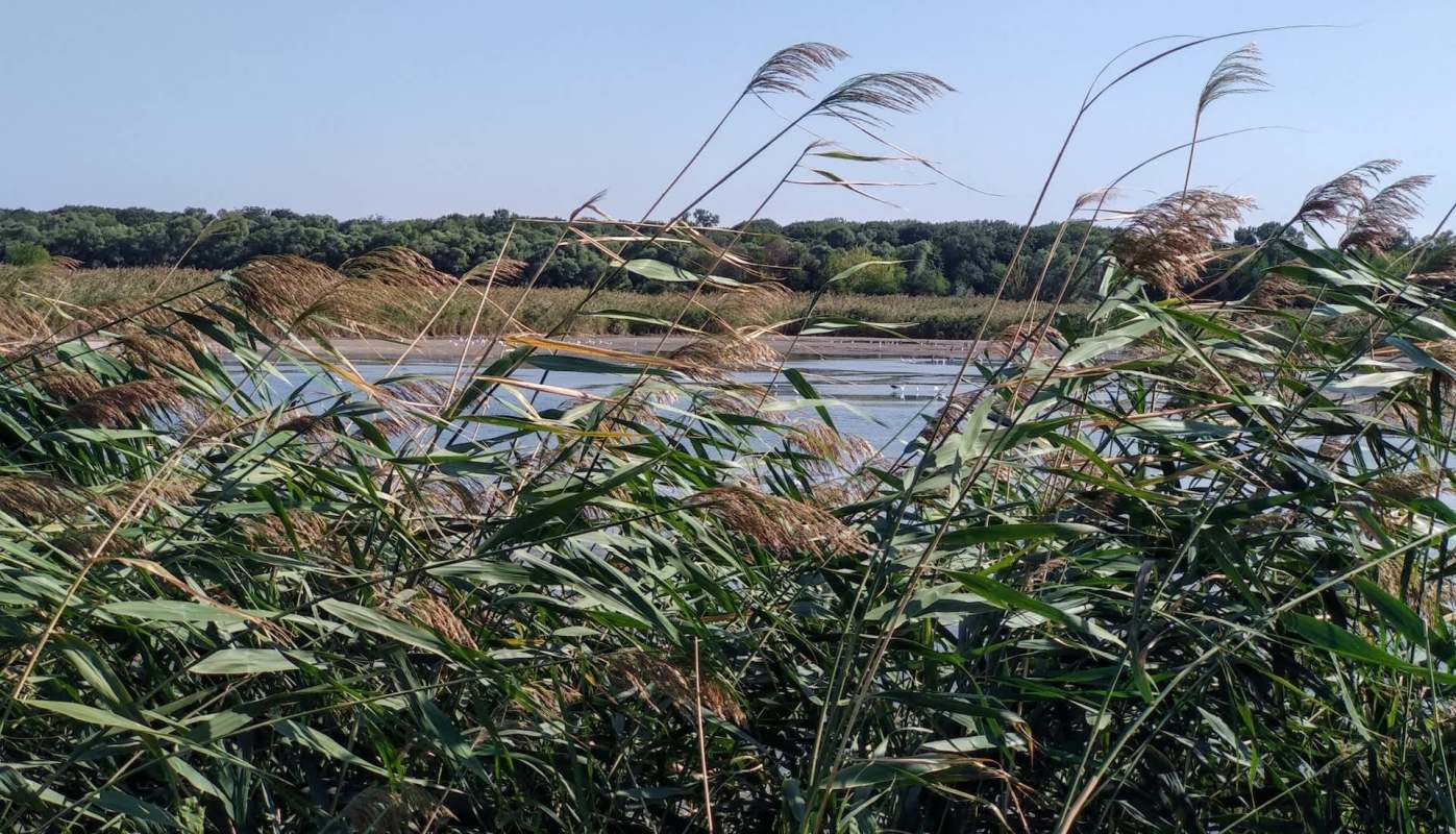 For 14 months, a construction team labored to build the Zeven wind farm in Germany, facing relentless wind and soggy, unstable ground.