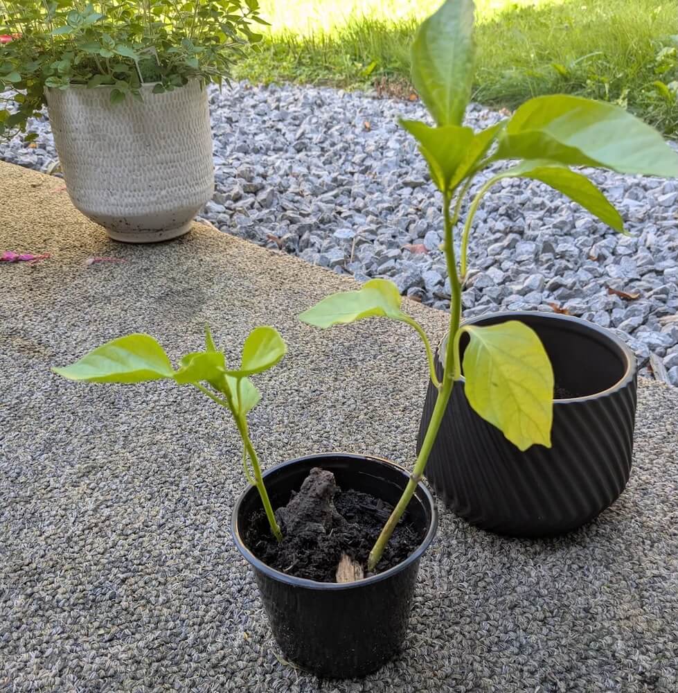 "I wish I had this problem."