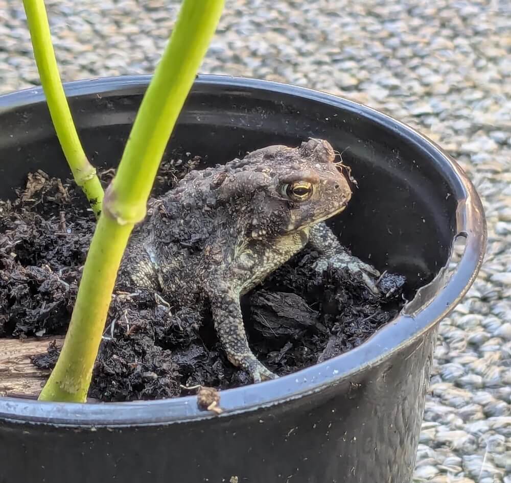 "I wish I had this problem."