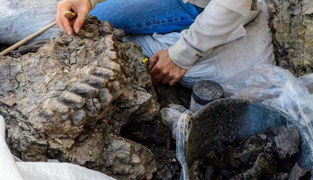 "These are two separate things."