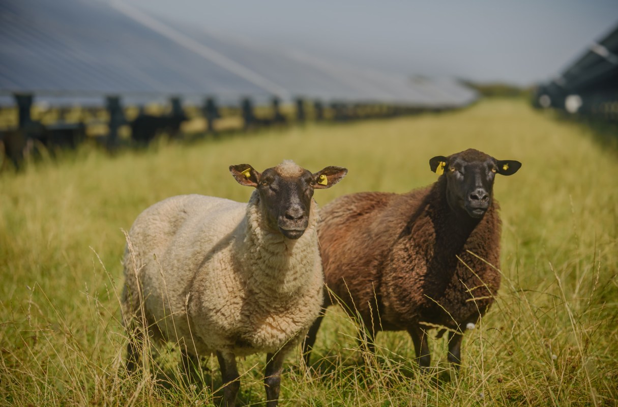 It will have multiple benefits.