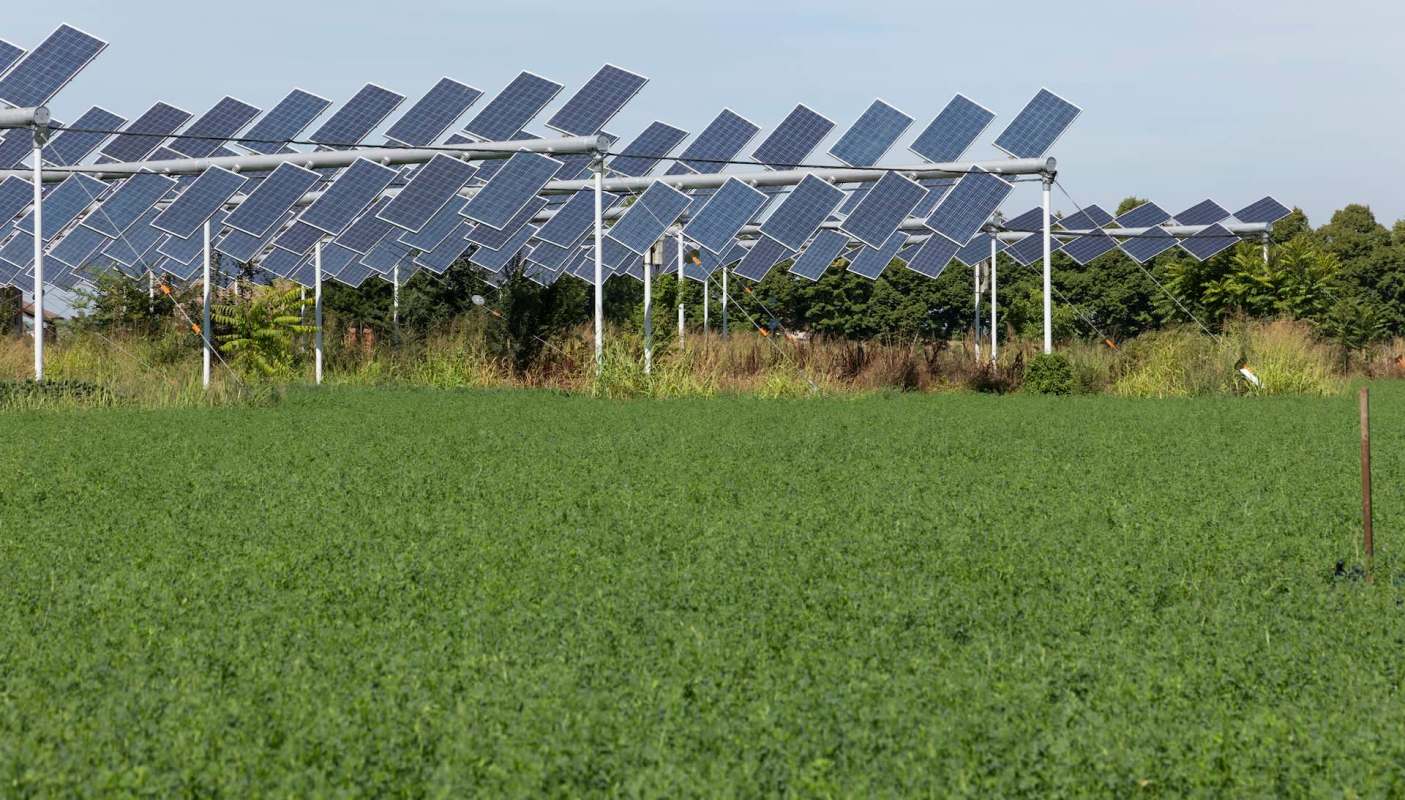 "Trying to make sure that we give options to farmers and ranchers."