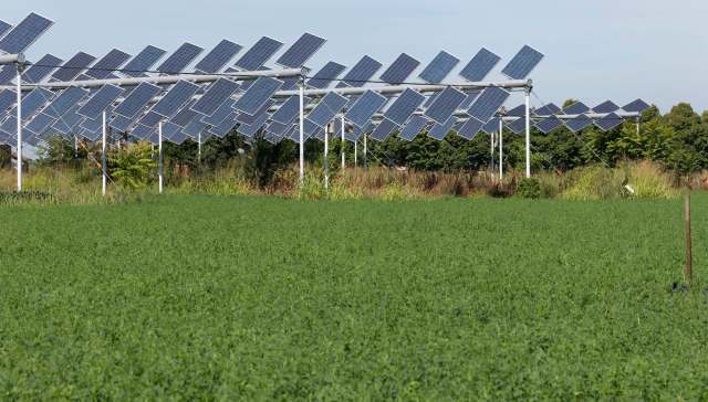 "Trying to make sure that we give options to farmers and ranchers."