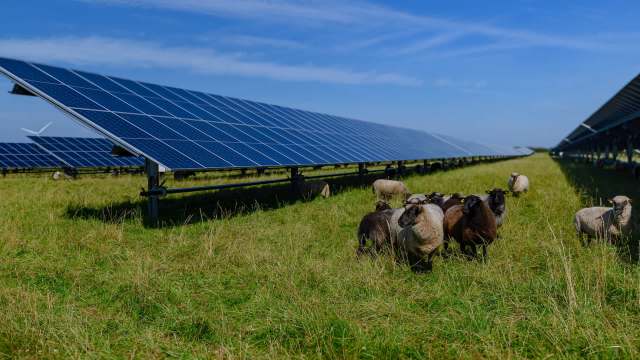 "The conversation over prime farmland is not going away."