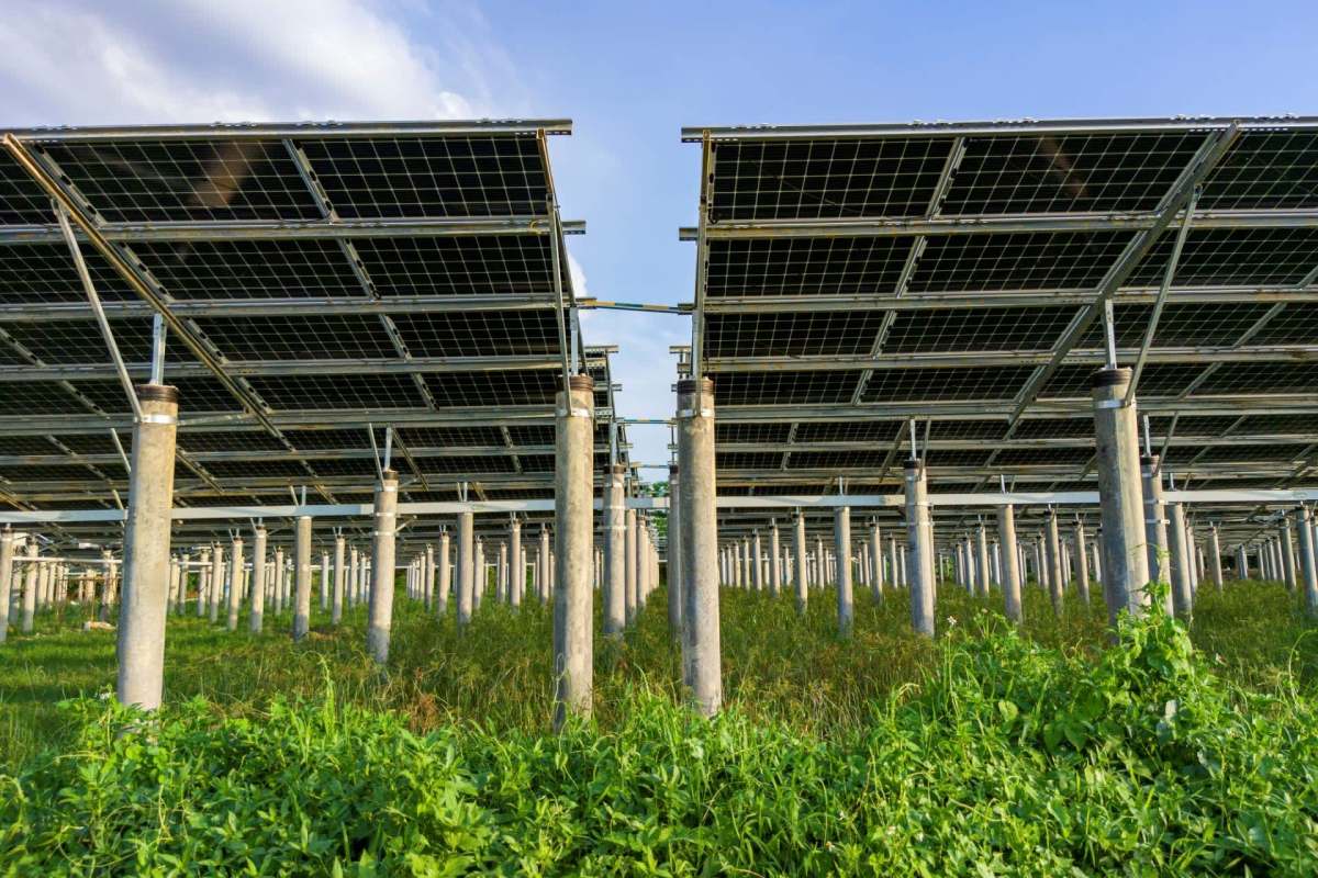 "Future research should focus on AI-driven optimization techniques."