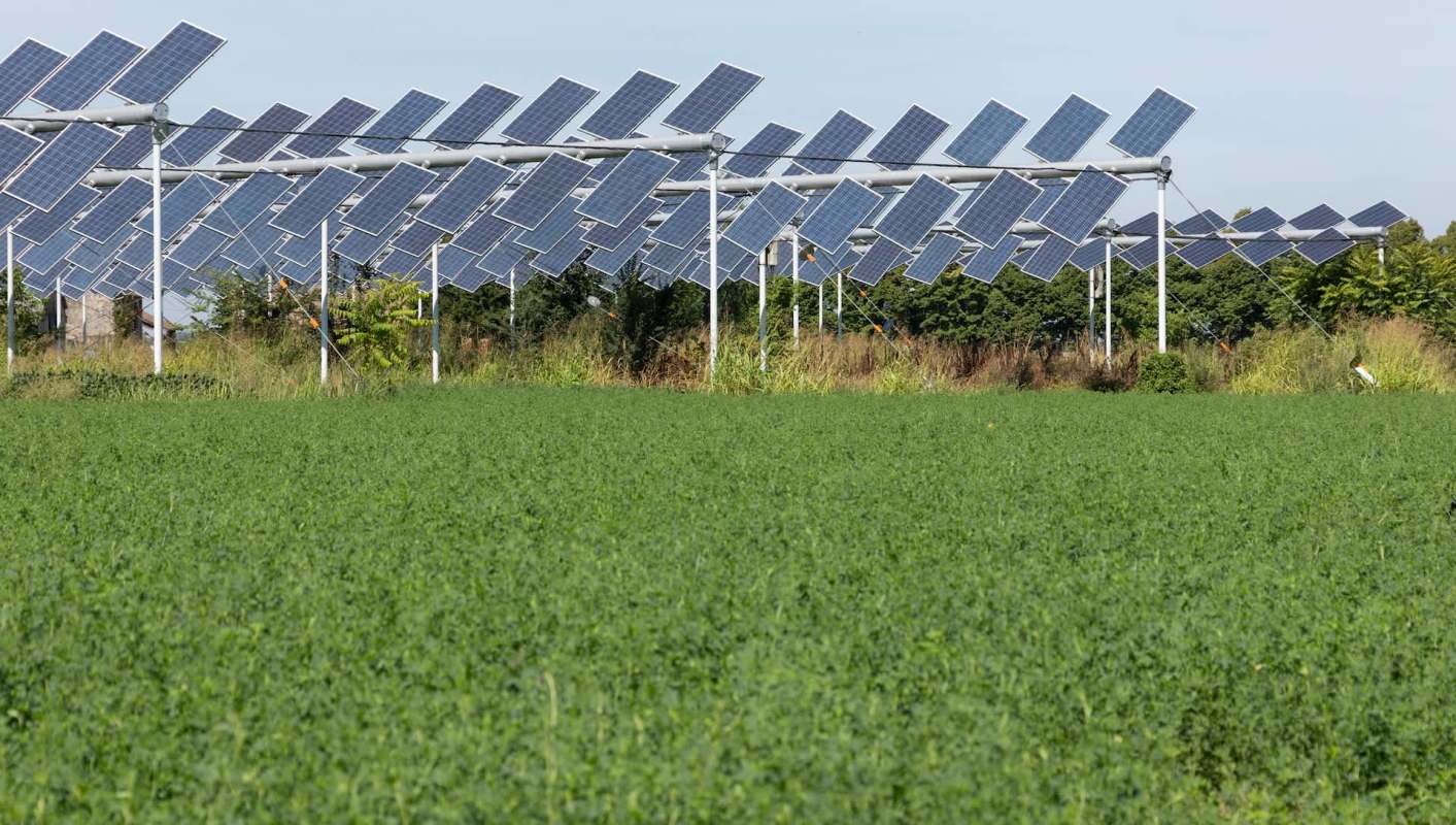 An area in western Germany has become fertile ground for testing how solar power and crops can cohabitate on the same plot of land, known as agrivoltaics.