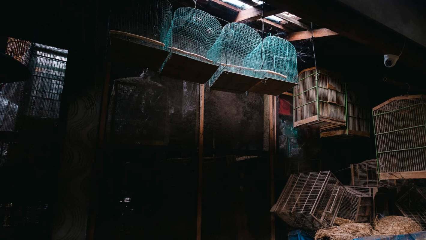 "Not just cruel — it's a death sentence."