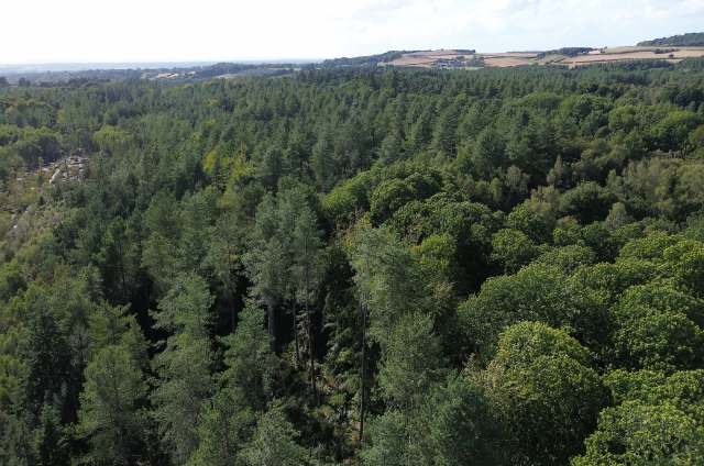 It sparked immediate backlash.