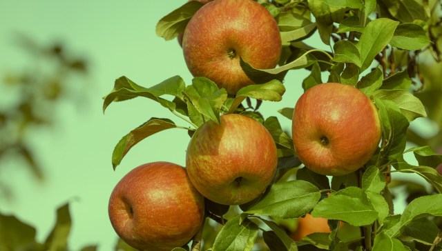 "Every month, every day, every year brings you that additional data point."